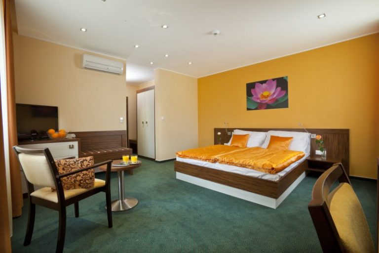 Hotel Viktor