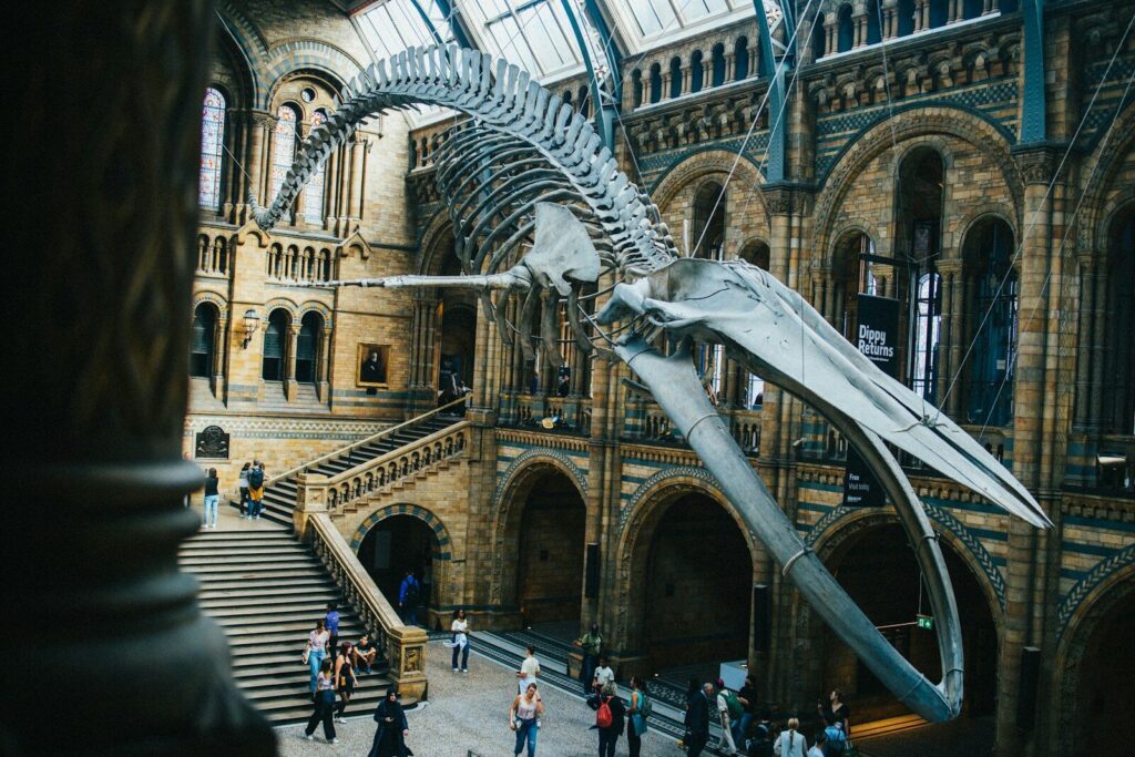 Natural History Museum