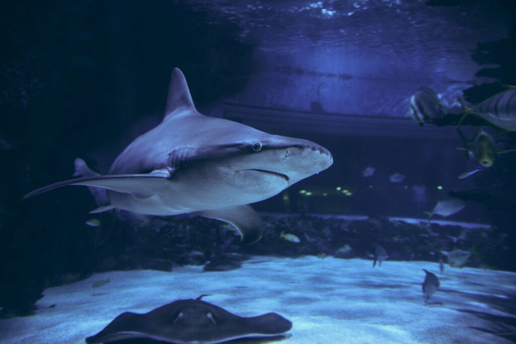 Tropicarium Budapešť